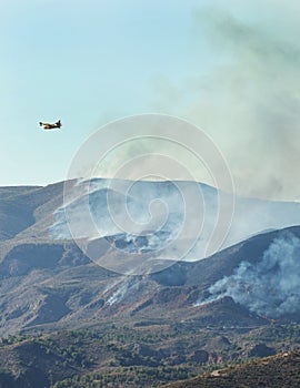 Forest fire near Bedar Village photo
