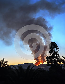 Forest fire near Bedar Village photo