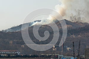 Forest fire near the city and train with fuel tanks