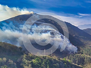 Forest fire in Sierra Pedrorio, Salas and Grado municipality, Asturias, Spain photo