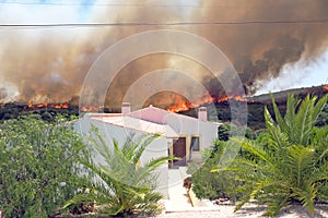 Forest fire threatens homes in Portugal