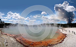 Forest fire in the Wai-o-Tapu geothermal area