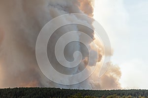 Forest fire wreaks havoc on causse de sauveterre