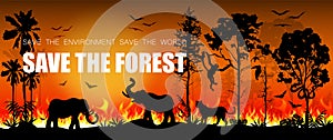Forest fires in Amazon and Australia with silhouettes of wild animals. Problems in the amazon rain forest.