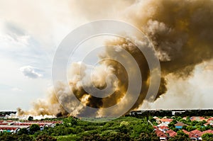 Forest fires in the city on a hot oversupply. Firefighter helped hasten to prevent fire spread to the village.