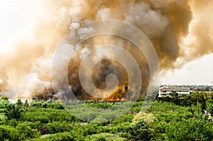 Forest fires in the city on a hot oversupply. Firefighter helped hasten to prevent fire spread to the village.