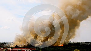 Forest fires in the city on a hot oversupply. Firefighter helped hasten to prevent fire spread to the village.