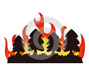 forest fires disaster environmental