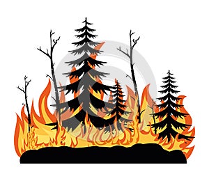 forest fires emergency