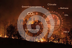 Forest fires are emitting substantial amounts of greenhouse gases and particulate matter into the atmosphere photo
