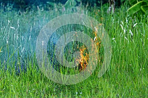 Forest fires,Grass fire,Forest fires and wind dry completely destroy the forest and steppe during a severe drought.