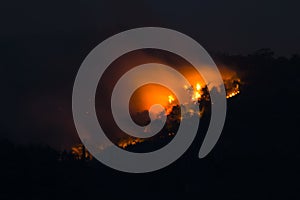 Forest fires by night in Montenegro