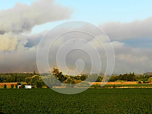 Forest fires in Provence, near Avignon, July 14, 2022