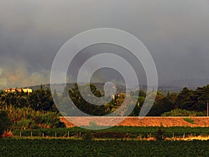 Forest fires in Provence, near Avignon, July 14, 2022