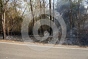 Forest fires on the side of the road, Disasters that occurred in the early summer of Thailand.