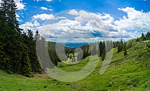 Forest with firs on slope of hill in valley of Rhodope Mountains under clouds. Panorama, top view