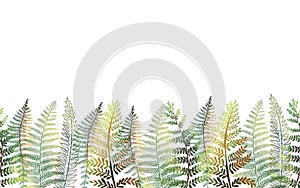 Forest floral seamless border, card template with hand drawn greenn fern leaves