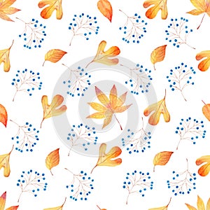 Forest foliage and berries seamless watercolor raster pattern