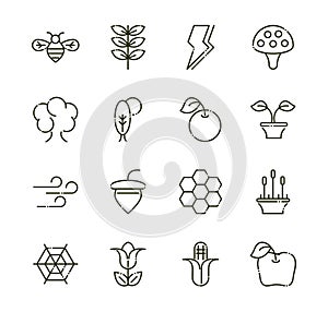 Forest foliage ecology nature line design icons set