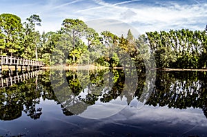 Forest and foot bridge reflecting over crystal clear still waters.