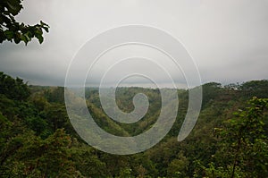 Forest at the foot of the mountain