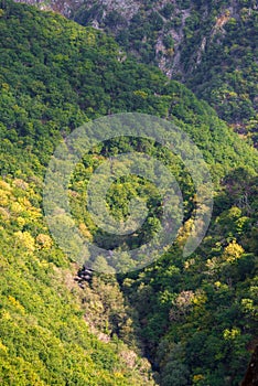 The forest of Fragas do Eume