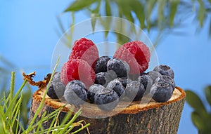 Forest fresh raspberry and blueberry macro