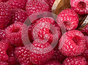 Forest fresh raspberry macro