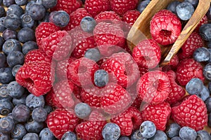 Forest fresh raspberryand blueberry macro