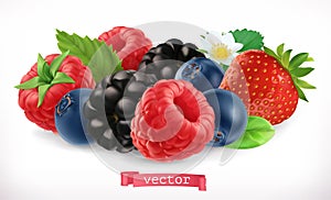 Forest fruits and berries. Raspberry, strawberry, blackberry and blueberry. 3d vector icon