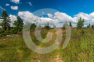 Forest glade covered by grass with few trees, trail and blue sky with clouds in Kysucke Beskydy mountains in Slovakia