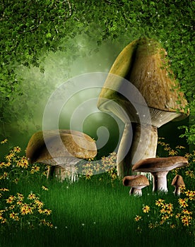 Forest glade with mushrooms