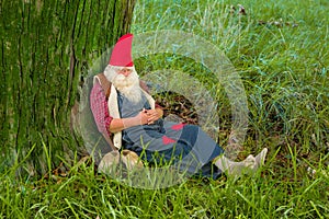 Forest gnome sleeping