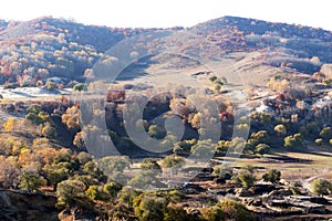 Forest and grassland in autumn