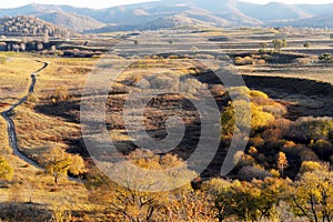 Forest and grassland in autumn