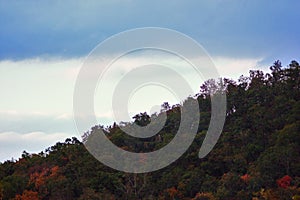 Forest Green Orange Trees Hill Ascend Clouds Telephoto Background