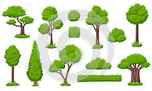 Forest green tree collection. Ecology trees, garden group bushes. Variety simple cartoon nature, gardening plants. Eco