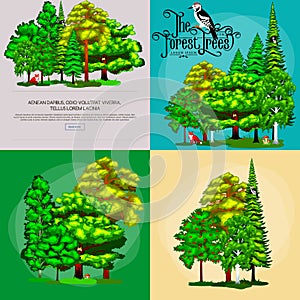 Forest green trees on the grass bush in summer landscape background. Nature landscape design elements with