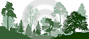 Forest green trees silhouette. Nature, park. Vector background