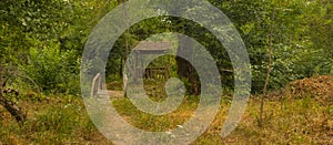 Forest in Guba Azerbaijan