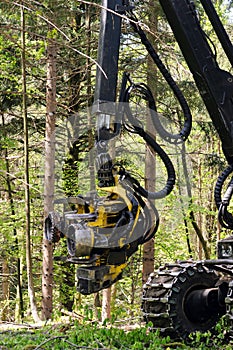 Forest harvester felling head photo