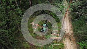 Forest harvester during sawing trees in a forest. Destruction of forests and felling of trees. Environmetal and ecological issues