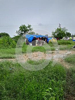 Forest hause in the vadodara