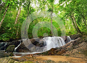 Forest hdr photography nature background. Mountain river