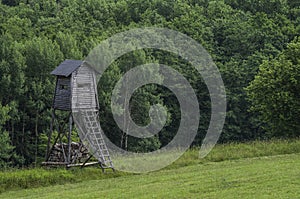 Forest hide