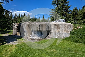 Forest hiding concrete blockhouse in Orlicke hory. Mladkov. Czech republic.