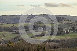 Forest hill Tuscany landscape countryside in Italy