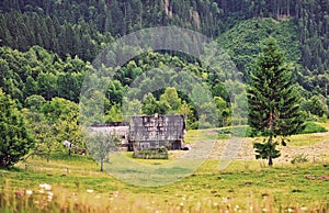 Forest House in the mountains