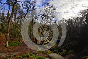 Forest of Huelgoat in Brittany, France