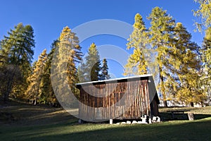 The forest hut on the November sunny days